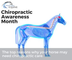 Chiropractic Awareness month